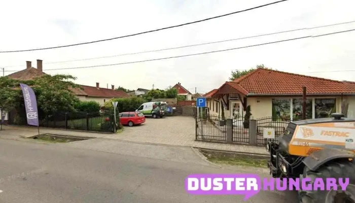 Kolozsvári Zoltán - Dunapataj