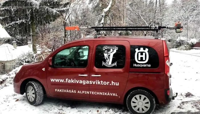 Koós Viktor Alpinista Favágó - Szentlélek U. 33