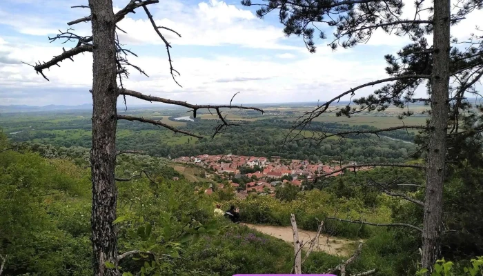Kopasz -  Hegy Hegy - Tarcal