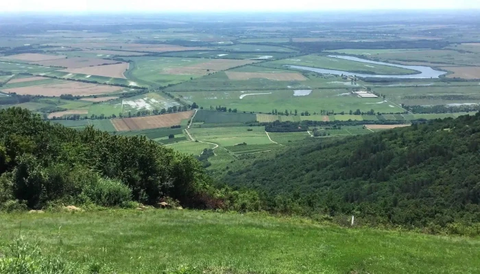Kopasz -  Hegy Tokaj Bodrogzug Tajvedelmi Korzet - Tarcal