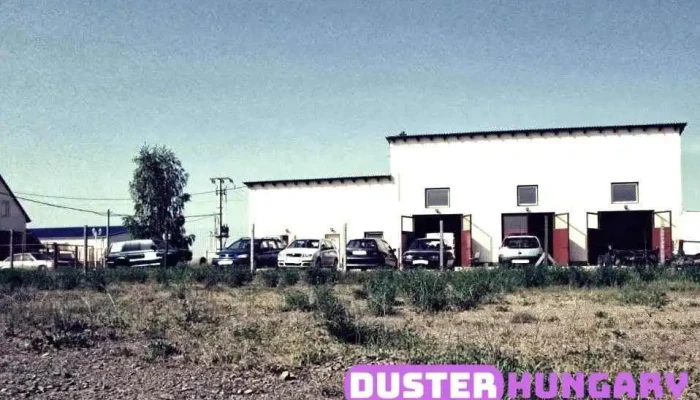 Lino Gumijavito Es Autoszerviz Kft A Tulajdonostol - Dunaszentgyörgy