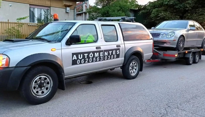 Lukacs Automento Katalogus - Budapest