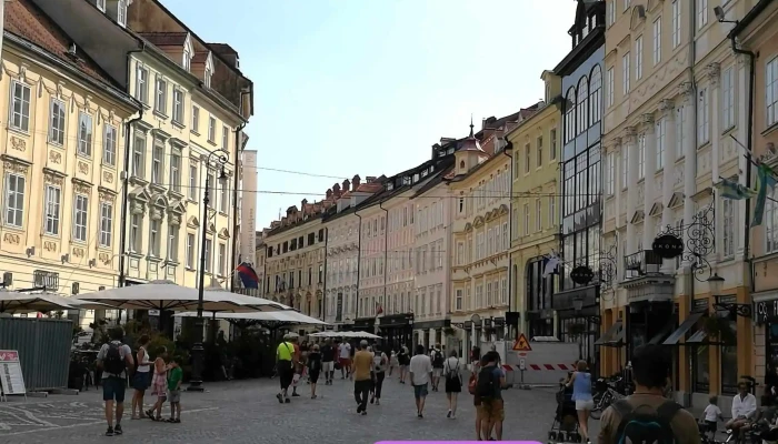 M Gép Kft Gebrauchtholzhandlung - Magyarország