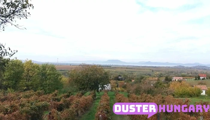 Majthenyi Preshaz Borozo Videok - Balatonlelle-Kishegy