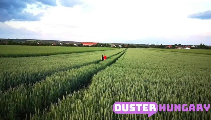 Maklar Videok - Maklár