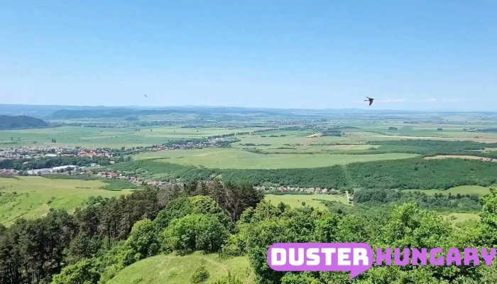 Matyas Kiraly Kilato Videok - Putnok