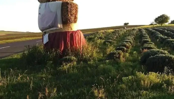 Megyaszó - Megyaszó