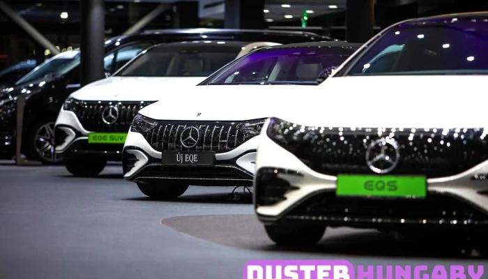 Mercedes -  Benz Hovany Kecskemet A Tulajdonostol - Kecskemét