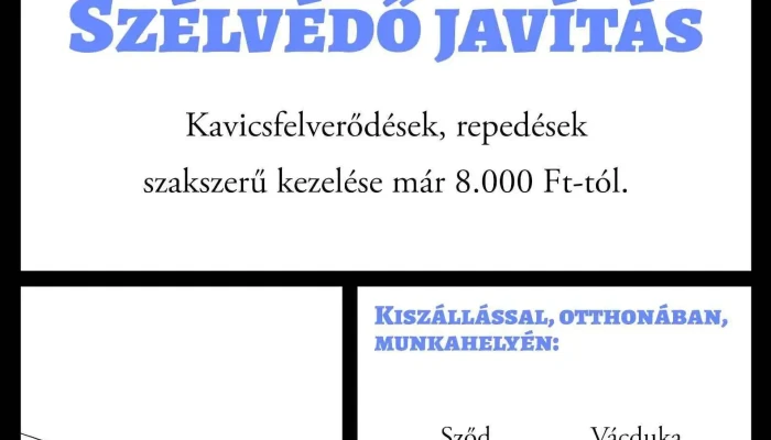 Mobil Szelvedo Javitas Es Fenyszoro Felujitas A Tulajdonostol - Sződ