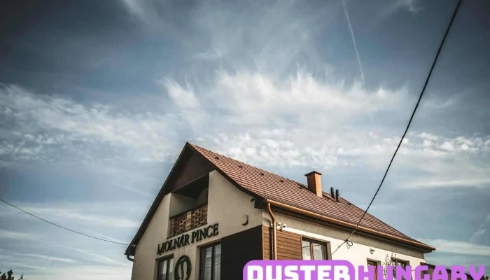 Molnár és Fiai Pincészet Kft. - Abasár