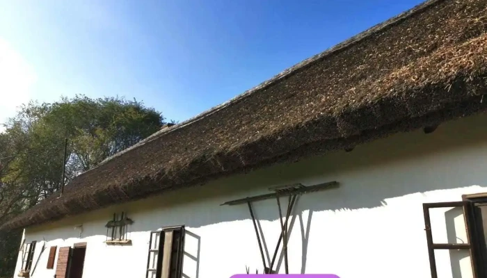 Nádtető készítés javítás és egyéb tetők készítése - Arany János U. 72