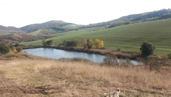 Nagysapi Arok Folyo - Nagysáp