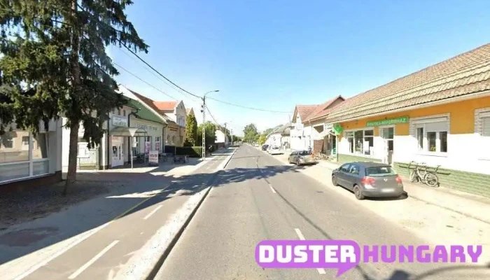 Nemzeti Adó- és Vámhivatal - Dr. Földi János U. 4