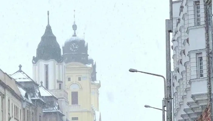 Non -  Stop Abc Videok - Debrecen
