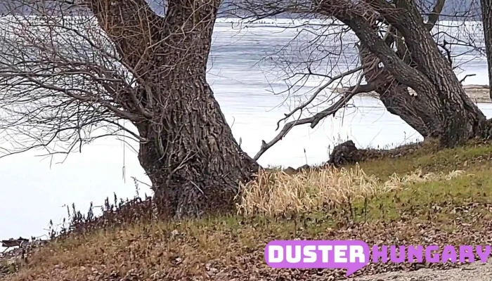 Nyergesujfalu Videok - Nyergesújfalu