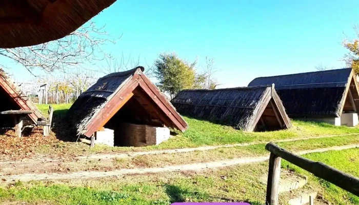 Ocsa Oreghegyi Pincesor Videok - Ócsa