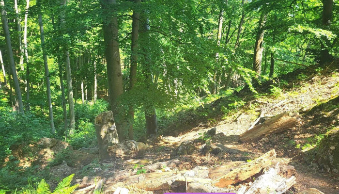 Ördög-lyuk - Magyarország