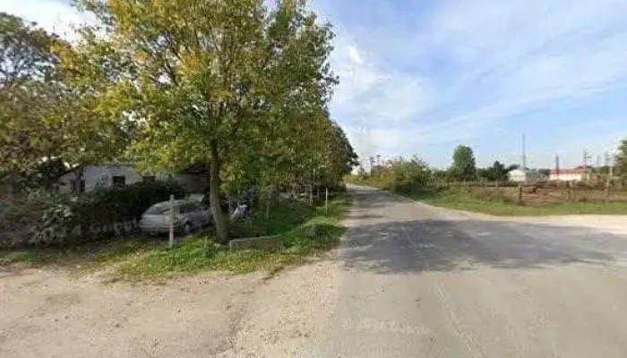 Otves Marton   Tetofedes Csongrad Megye Badogos Munkak Csongrad Megye Osszes - Domaszék