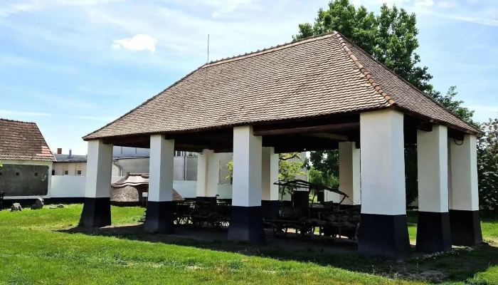 Petofi Sandor Emlekkiallitas Akcio - Szalkszentmárton