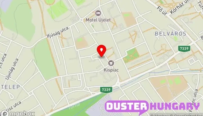 térkép Pichler Elektromos Szerviz és Szaküzlet, Hűtőgép és porszívó javítás Háztartási- és kisgépszerelő, Hűtőszekrény-javítás, Porszívójavítás ban Ajka
