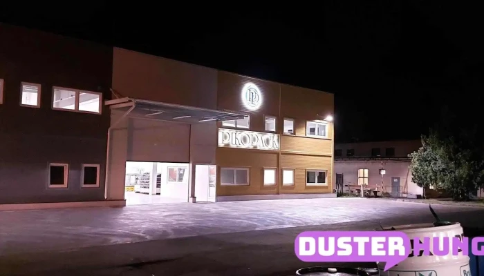 Pikopack Zrt Osszes - Füzesabony