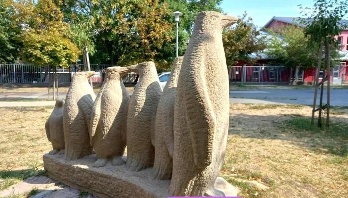 Pingvin Csalad Osszes - Budapest