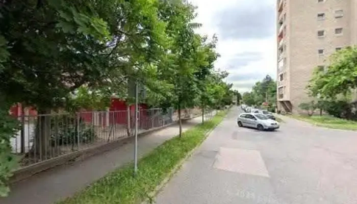 Pingvin Csalad Utcakep Es 360deg - Budapest