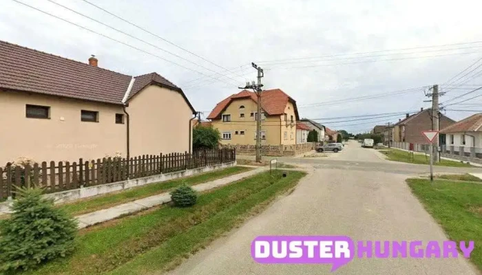 Pintér László - Kapuvár