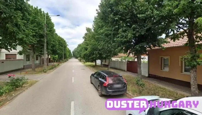 Pláza-Szerviz Kft. - Szőlő U. 50