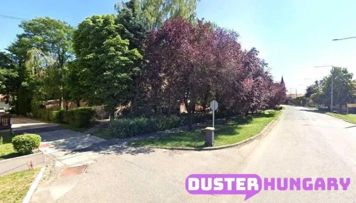 Püspökladányi Katasztrófavédelmi Kirendeltség - Kossuth U. 10
