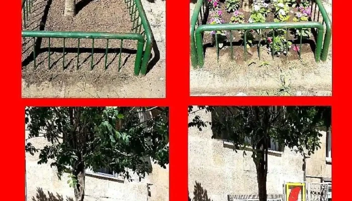 Rája Díszállat Kereskedés Budapest 1132 Alig u. 7. - Alig U 7