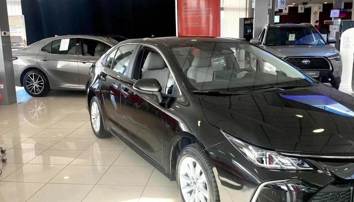 Realszisztema Auto M0 Helyszin - Halásztelek