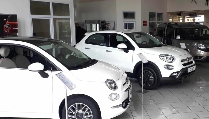 Ring Autohaz Kft Videok - Szolnok