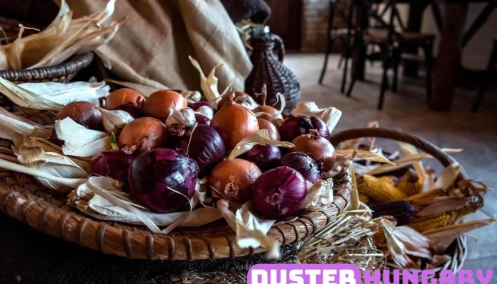 Rozsa Sandor Csarda   Zsombo A Tulajdonostol - Zsombó