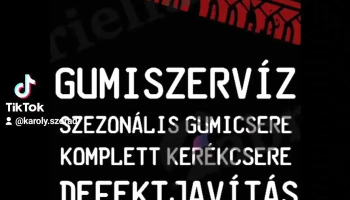 Rsp Autoszerviz Es Gumi Javito Autosbolt Alkatresz Videok - Jászladány
