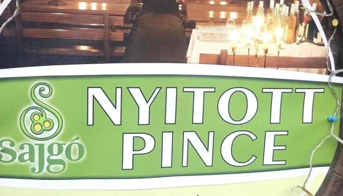 Sajgo Pinceszet A Tulajdonostol - Tolcsva