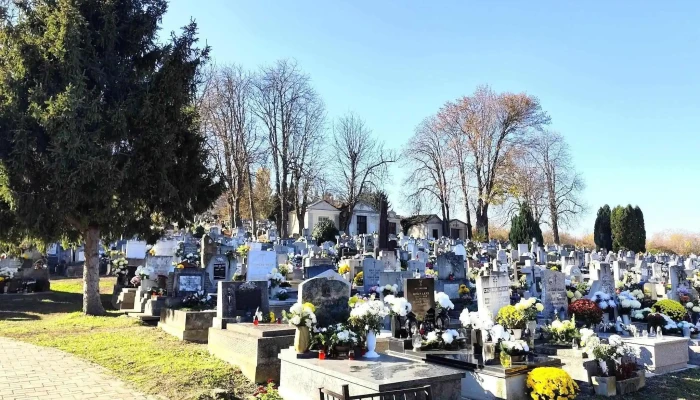 Satoraljaujhelyi Koztemeto Osszes - Sátoraljaújhely
