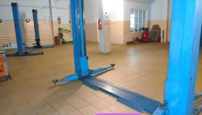 Savolyi Gabor Ev Belul - Szeged