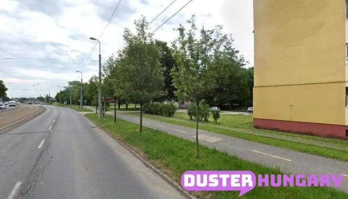 Schizan-bau Kft - Andrássy Gyula U. 53