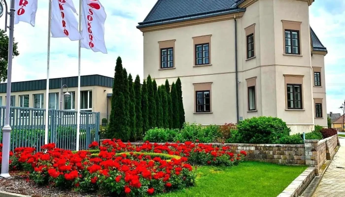 Sokoró Kft. - Fő U. 8-10 Sokoró Kft. - Fő U. 8-10