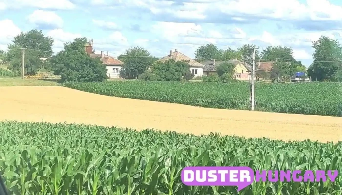 Szakcs -  Osszes - Szakcs