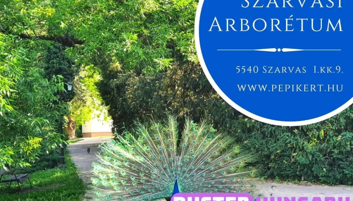 Szarvasi Arborétum - I.Kk 9