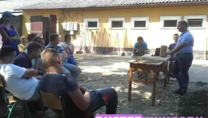 Szentlorinci Szolanum Kft Osszes - Szentlőrinc