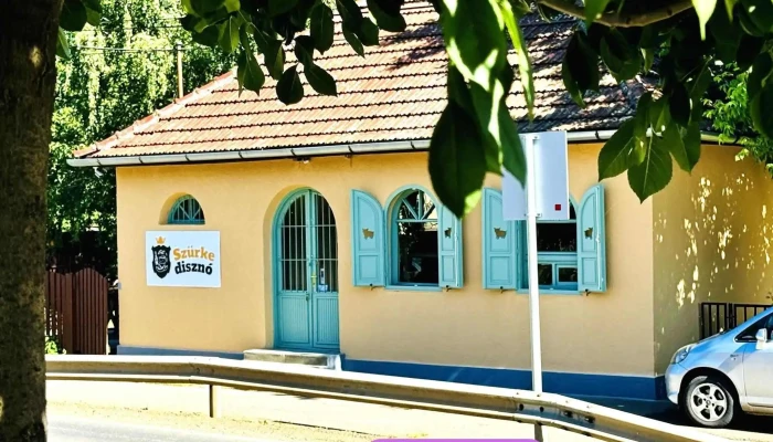 Szürke disznó - Delikátesz bolt - Honvéd U. 122