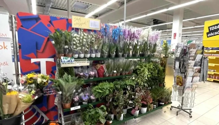 Tesco Balatonboglar Belul - Balatonboglár