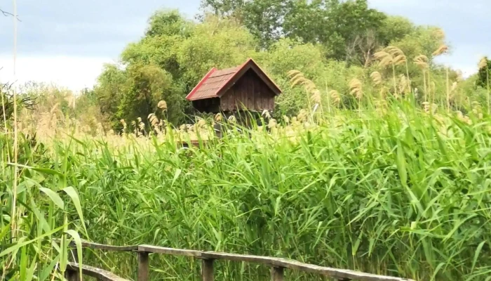 Tisza -  Tavi Vizi Setany Ertekelesek - Poroszló