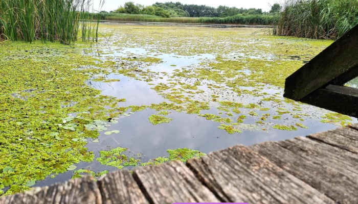 Tisza -  Tavi Vizi Setany Hortobagyi Nemzeti Park - Poroszló