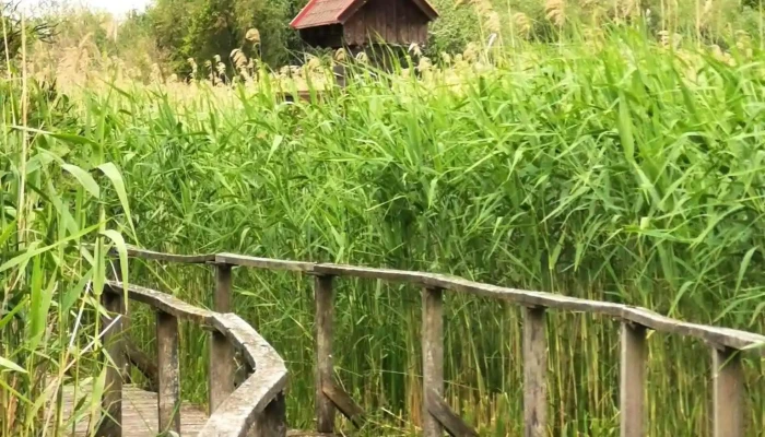 Tisza -  Tavi Vizi Setany Legfrissebb - Poroszló