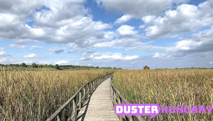 Tisza -  Tavi Vizi Setany Osszes - Poroszló