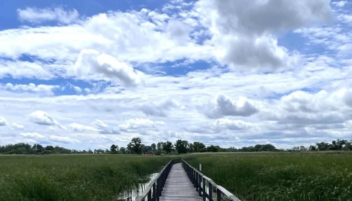 Tisza -  Tavi Vizi Setany Pontszam - Poroszló